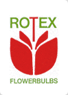 Rotex Flowerbulbs