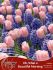 symphony of colors pkgs tulipa 12 cm hyacinths 1516 cm oh what a beautiful morning 25 pkgsx 14