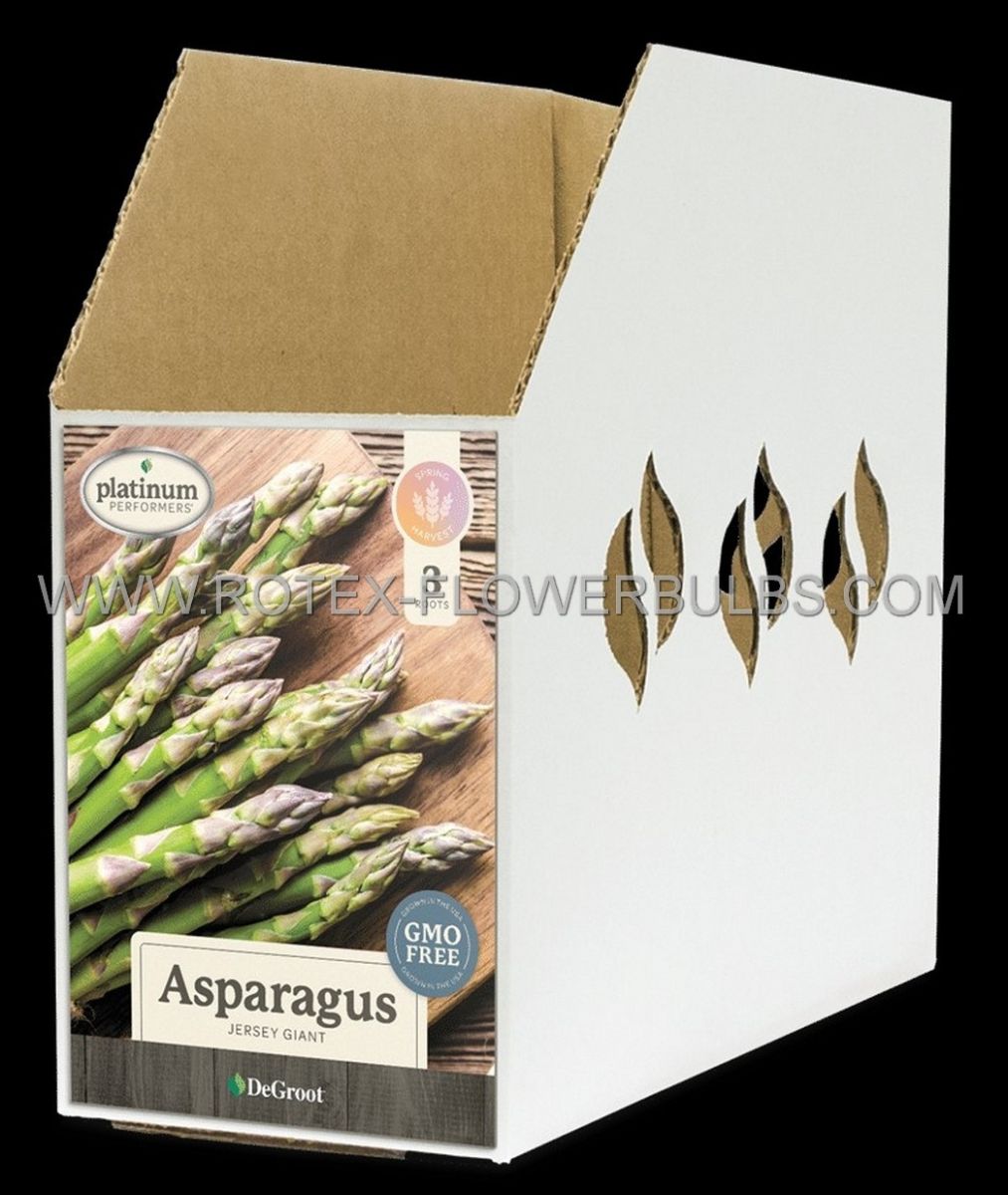 asparagus jersey giant 2yr as0130 15 pkgsx 3