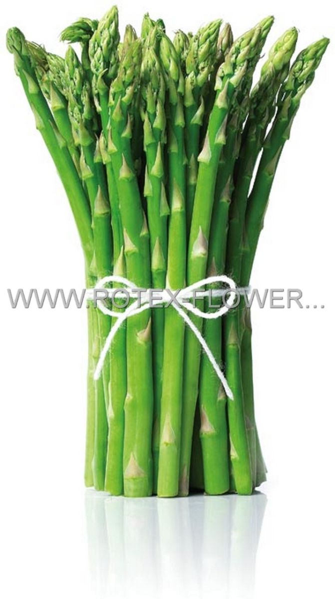 asparagus mary washington 2yr as101 96 pbag