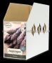 Asparagus ‘Purple Passion‘ 2Yr. - AS0153 (15 Pkgs.x 3)
