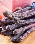 Asparagus ‘Purple Passion‘ 2Yr. - AS151 (48 p.Bag)