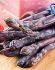 Asparagus Purple Passion 2Yr. - AS151 48 p.Bag