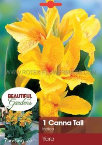 Canna ‘Yara‘ 3-5 Eye (15 Quality Pkgs.x 1)