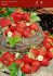 fruit strawberry eclair i june bearing 100 popen top box