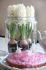 hyacinthus orientalis carnegie prepared 1718 cm 40 pbinbox