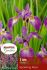 Iris Sibirica Sparkling Rose I 10 Quality Pkgs.x 1