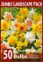 jumbo landscape pkgs daffodil narcissus mix 1012 10 pkgsx 50
