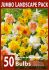 Daffodil Narcissus Mix 10-12 10 Jumbo Landscape Pkgs.x 50
