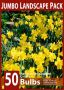 Narcissus Large Cupped ‘Carlton‘ 10-12 (10 Jumbo Landscape Pkgs.x 50) Narcissus Large Cupped ‘Carlton‘ 10-12 (10 Jumbo Landscape Pkgs.x 50)