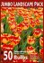 jumbo landscape pkgs tulipa darwin hybrid banja luka 1112 cm 10 pkgsx 50