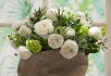 Ranunculus White 67 cm. 100 Loose p.Binbox