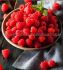 Raspberry Latham Junebearing 1Yr. No.1 - RS116 25 p.Bag