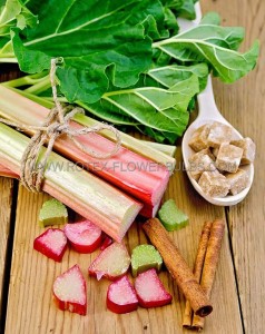 Rhubarb ‘Victoria‘ 1 ½“ - Up - RH131 (50 p.Bag)