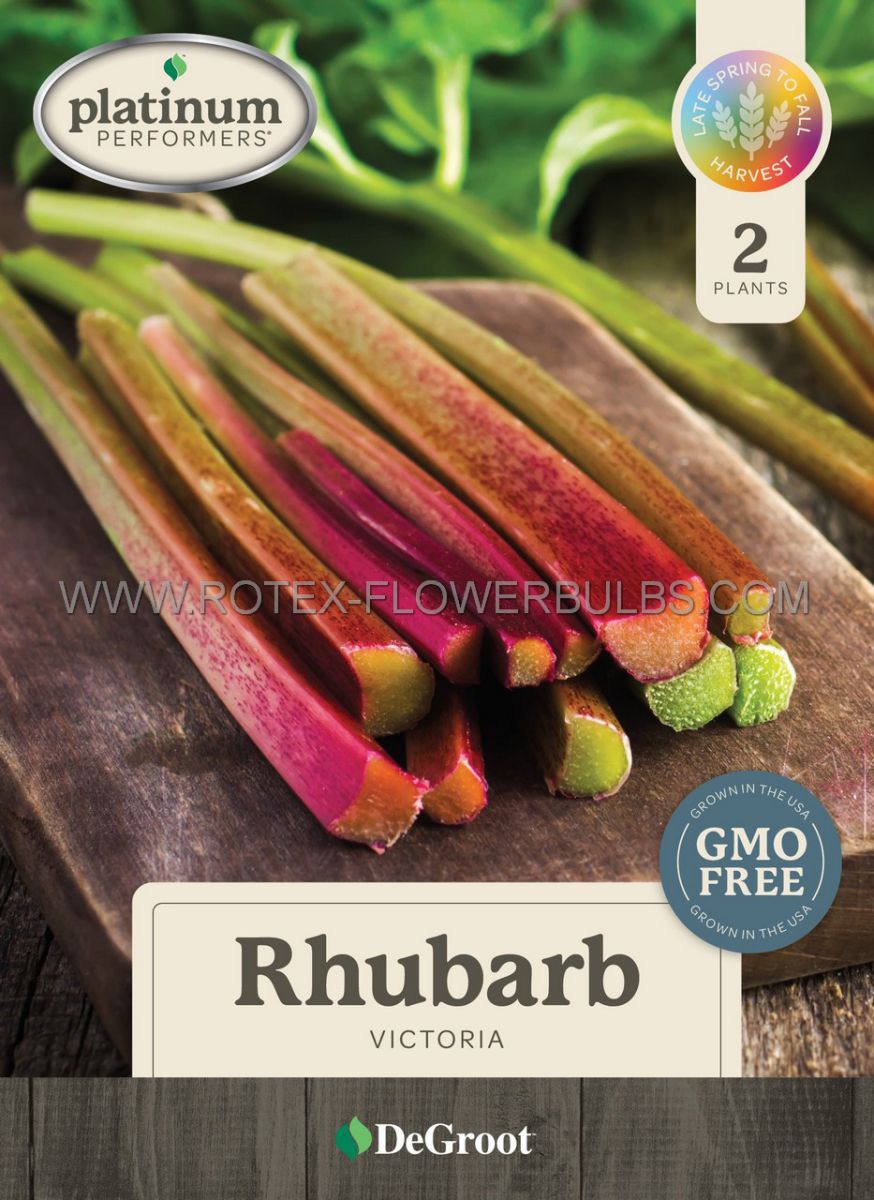 rhubarb victoria 34 1 12 rh9210 15 pkgsx 2 pcase