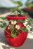 Strawberry Peek-A-Boo Planter Kit Strawberry Plants Case Pack - DGST0900 9 Kits x 7