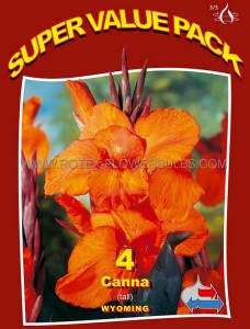Canna ‘Wyoming‘ 3-5 Eye (15 Super Value Pkgs.x 4) Canna ‘Wyoming‘ 3-5 Eye (15 Super Value Pkgs.x 4)