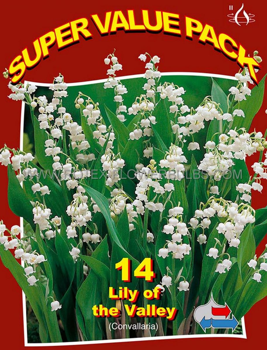 super value pkgs convallaria lily of the valley ii 20 pkgsx 14