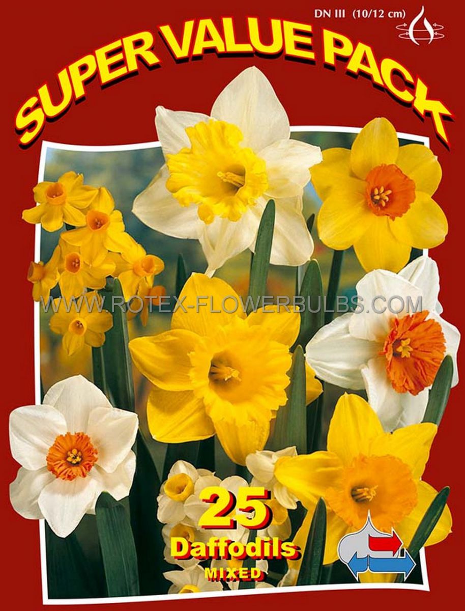 super value pkgs daffodil narcissus mix 1214 10 pkgsx 25