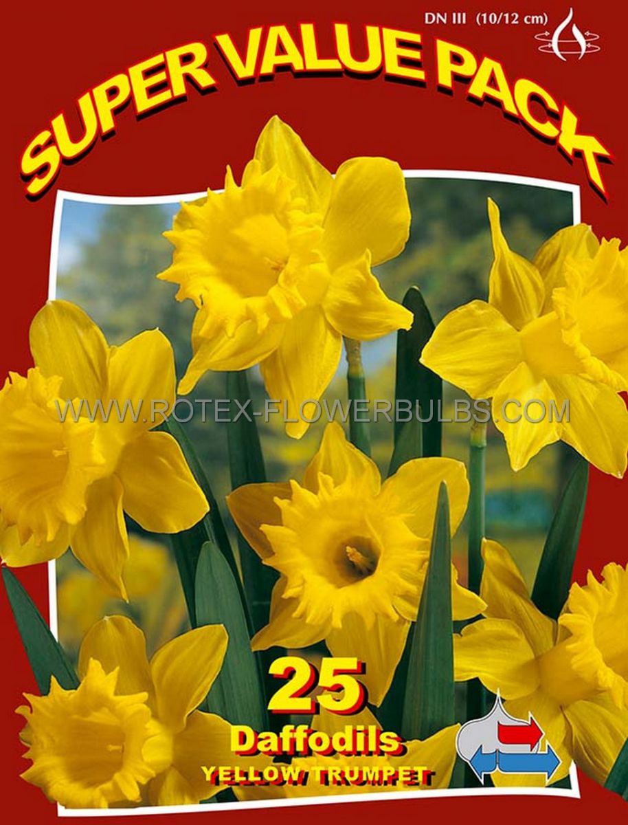 super value pkgs daffodil narcissus mix trumpet yellow assorted 1214 10 pkgsx 25
