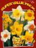 super value pkgs daffodil narcissus mix trumpet yellow assorted 1214 10 pkgsx 25