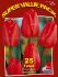 super value pkgs tulipa darwin hybrid apeldoorn 12 cm 20 pkgsx 25