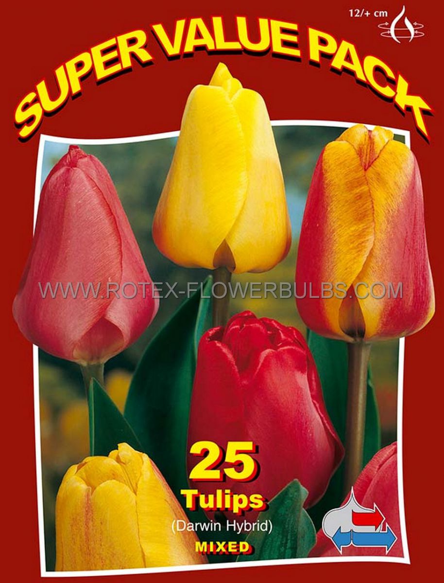 super value pkgs tulipa darwin hybrid mix 12 cm 20 pkgsx 25