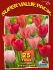 super value pkgs tulipa darwin hybrid van eyk mix 12 cm 20 pkgsx 25