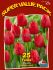 super value pkgs tulipa triumph strong love 12 cm 20 pkgsx 25