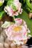 Tulipa Double Late Glamour Girl 12 cm. 100 Loose p.Binbox
