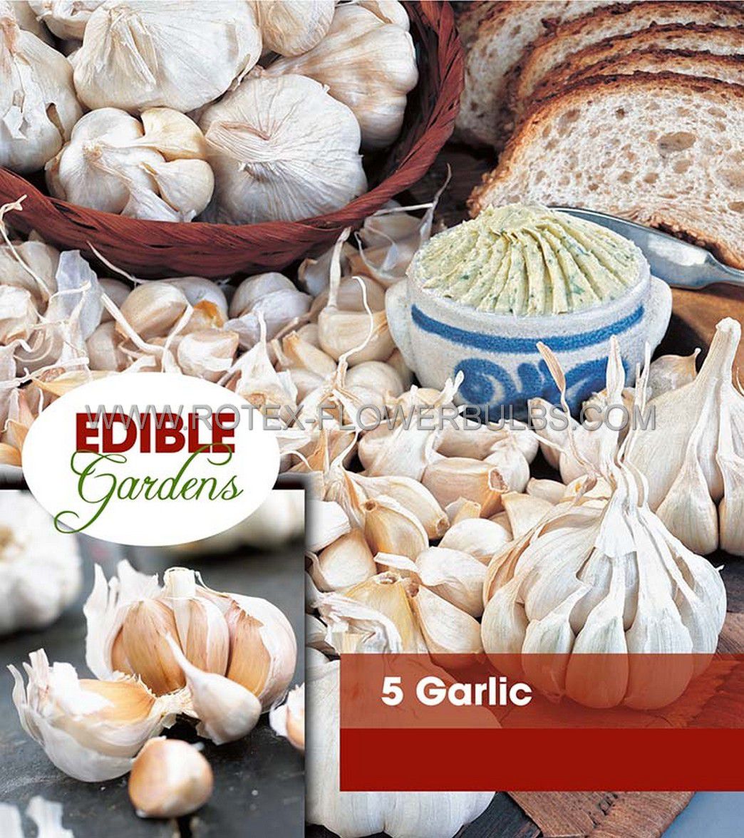 vegetable garlic cloves i 10 pkgsx 5