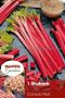 Rhubarb ‘Canada Red‘ 1 ½“ (10 Quality Pkgs.x 1)