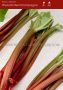Rhubarb ‘Red Champagne‘ 1 ½ “(25 Loose p.Carton)