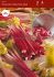 vegetable rhubarb valentine red 1 12 25 pcarton